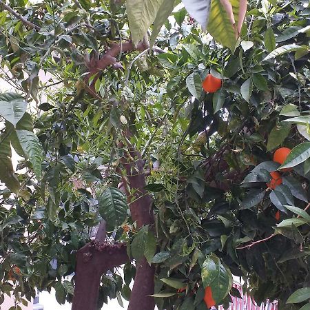 Appartamento B&B Domus Pompei 斯卡法蒂 外观 照片