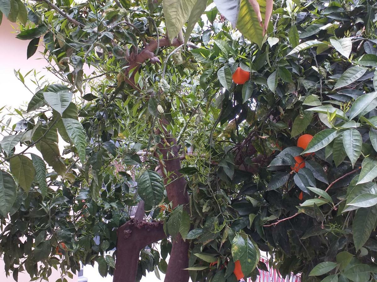 Appartamento B&B Domus Pompei 斯卡法蒂 外观 照片